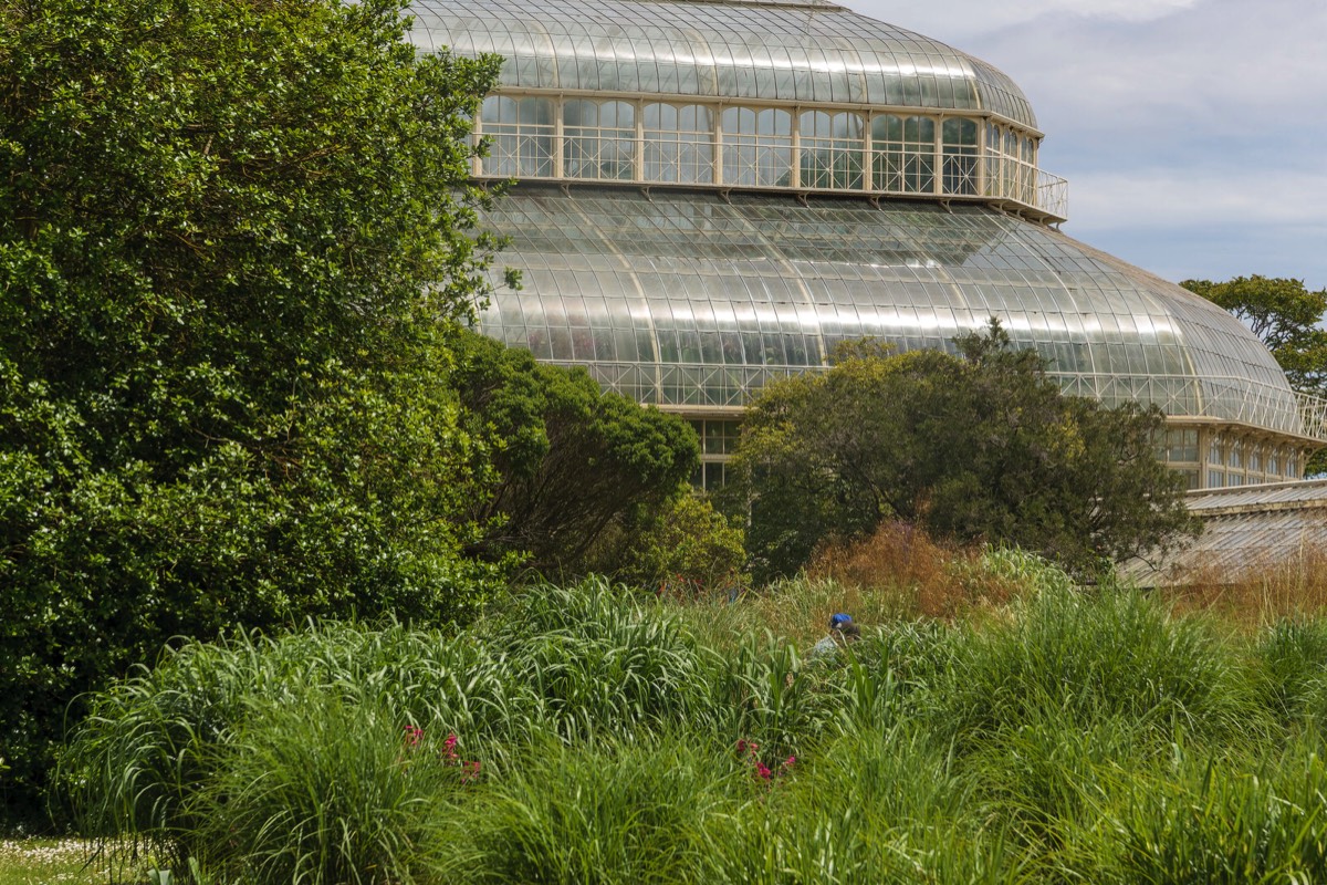 PLANTED GLASSHOUSES AT THE BOTANIC GARDENS   017