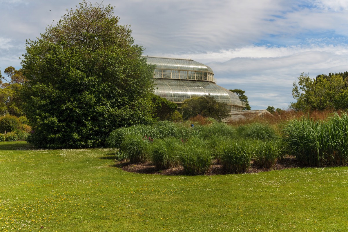 PLANTED GLASSHOUSES AT THE BOTANIC GARDENS   018