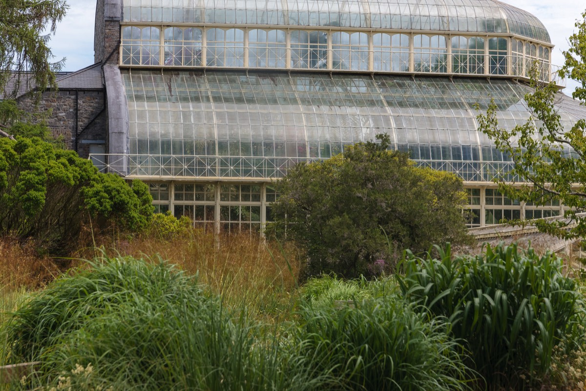 PLANTED GLASSHOUSES AT THE BOTANIC GARDENS   019