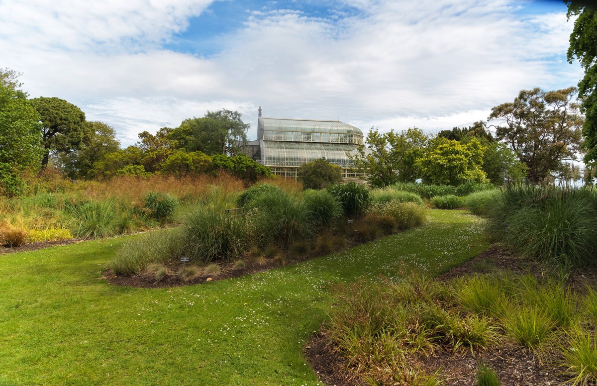 PLANTED GLASSHOUSES AT THE BOTANIC GARDENS   020