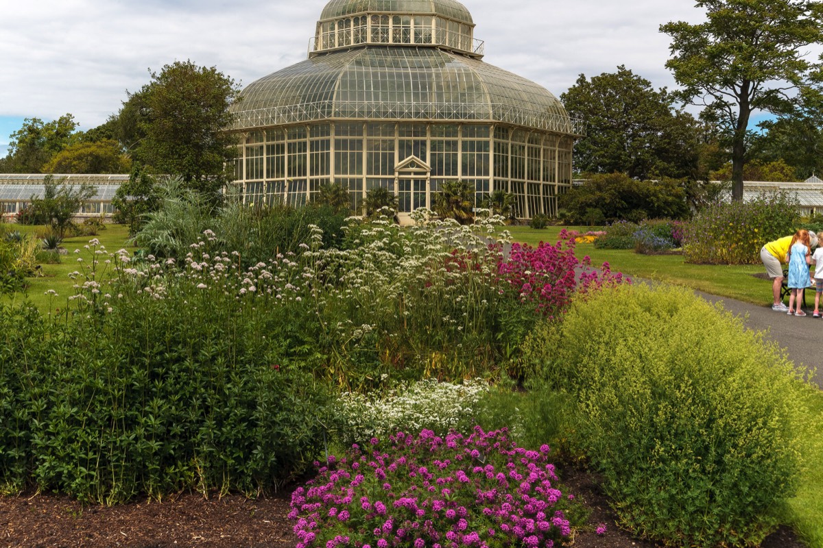 PLANTED GLASSHOUSES AT THE BOTANIC GARDENS   023