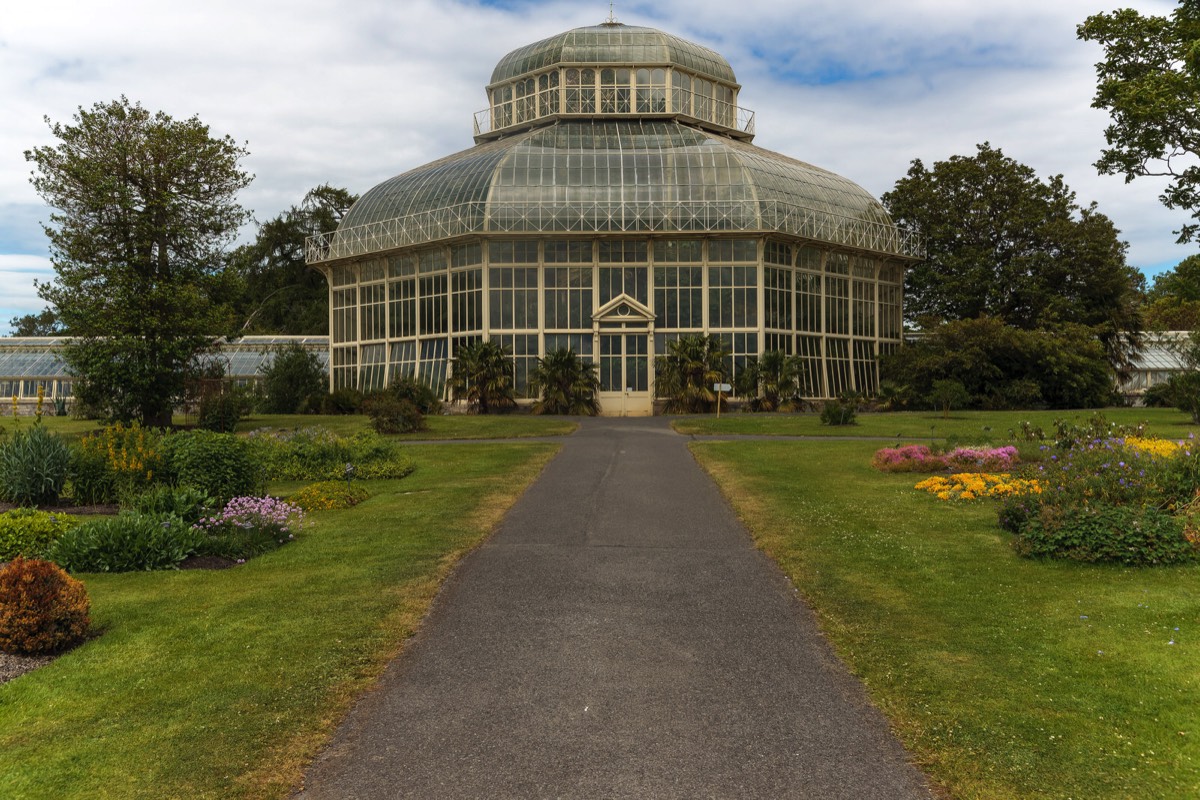 PLANTED GLASSHOUSES AT THE BOTANIC GARDENS   024