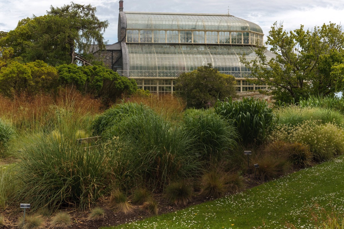 PLANTED GLASSHOUSES AT THE BOTANIC GARDENS   025