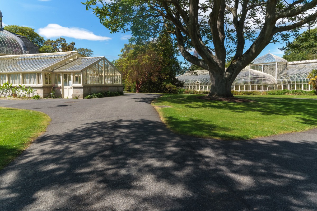 PLANTED GLASSHOUSES AT THE BOTANIC GARDENS  006