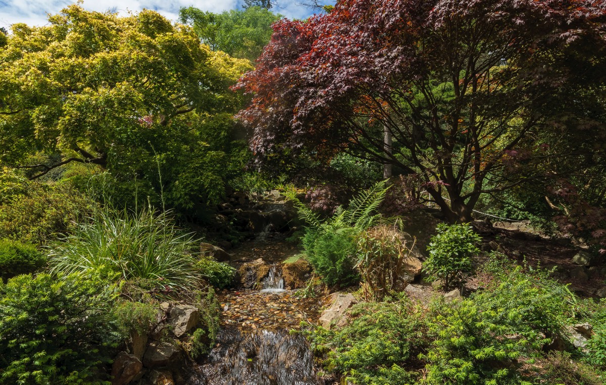 THE ROCKERY AT THE BOTANIC GARDENS WAS DEVELOPED IN THE 1880s  003