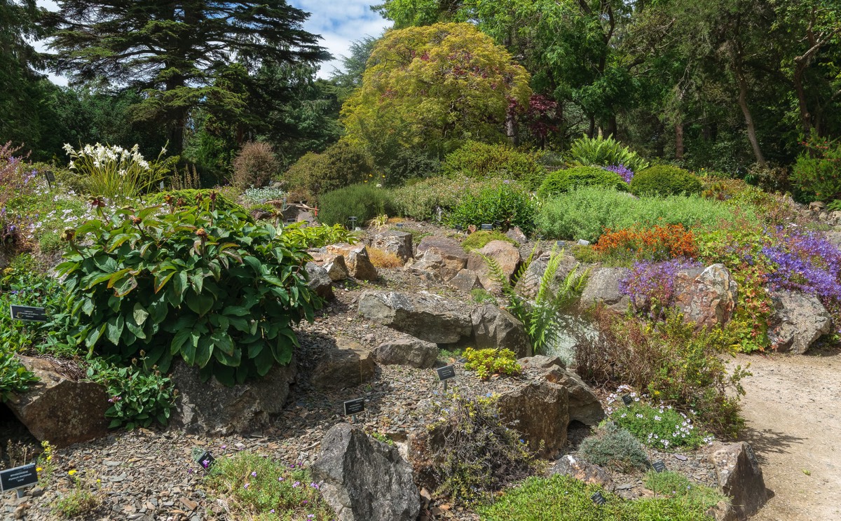 THE ROCKERY AT THE BOTANIC GARDENS WAS DEVELOPED IN THE 1880s  005