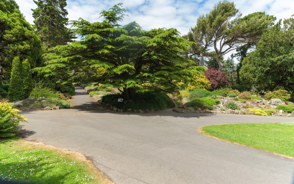 THE ROCKERY AT THE BOTANIC GARDENS WAS DEVELOPED IN THE 1880s  009