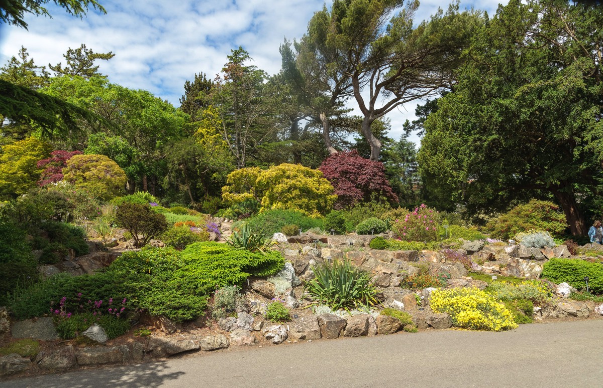 THE ROCKERY AT THE BOTANIC GARDENS WAS DEVELOPED IN THE 1880s  010
