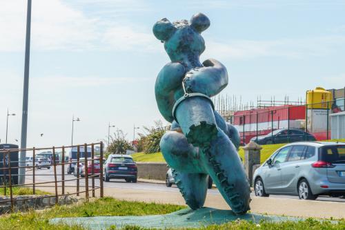 BEACH BEAR IN GREYSTONES - THIS BEAR HAS ATTITUDE  003