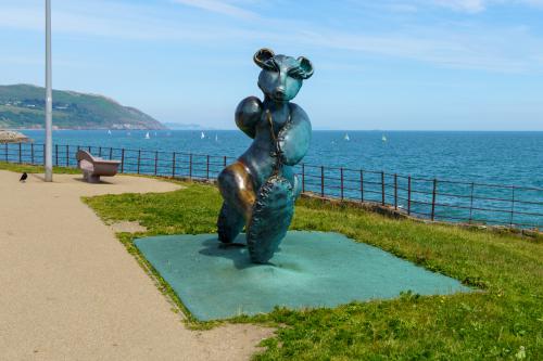 BEACH BEAR IN GREYSTONES - THIS BEAR HAS ATTITUDE  005