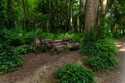  THE GROUNDS AND WOODLANDS  AT MALAHIDE CASTLE   