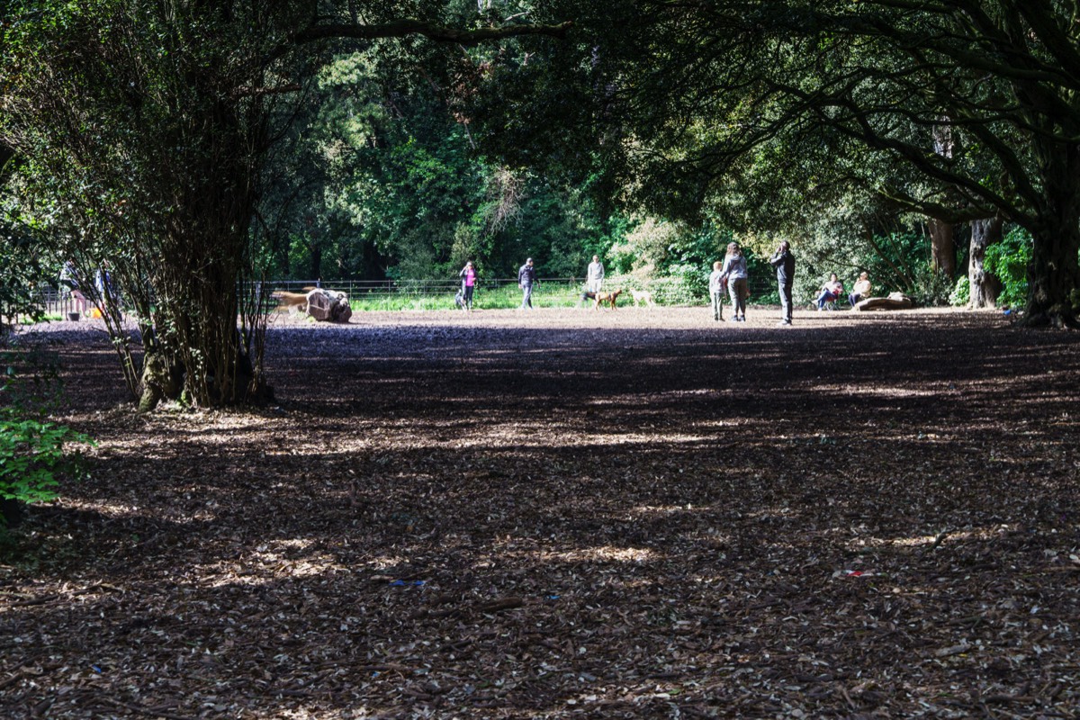 THERE IS A DEDICATED DOG PARK WITHIN SAINT ANNE