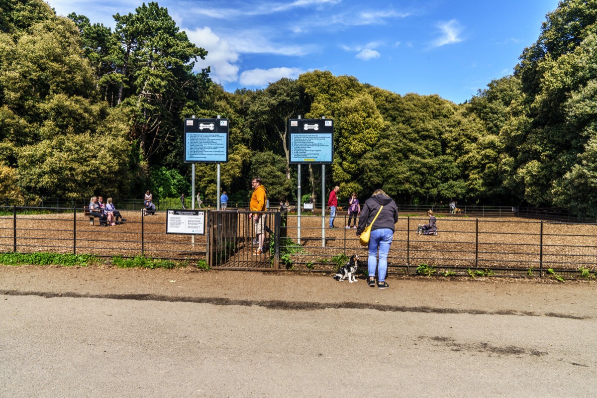 THERE IS A DEDICATED DOG PARK WITHIN SAINT ANNE