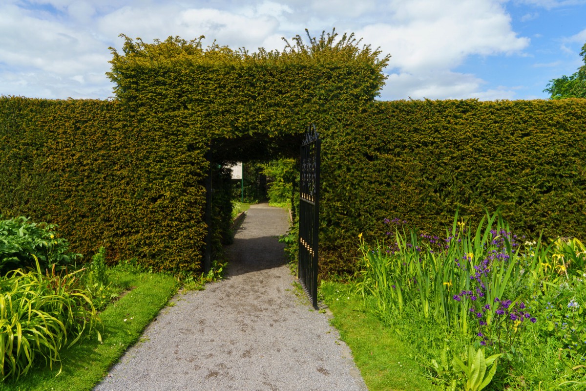 THE WALLED GARDEN AT SAINT ANNE