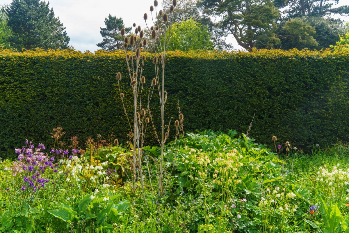 THE WALLED GARDEN AT SAINT ANNE