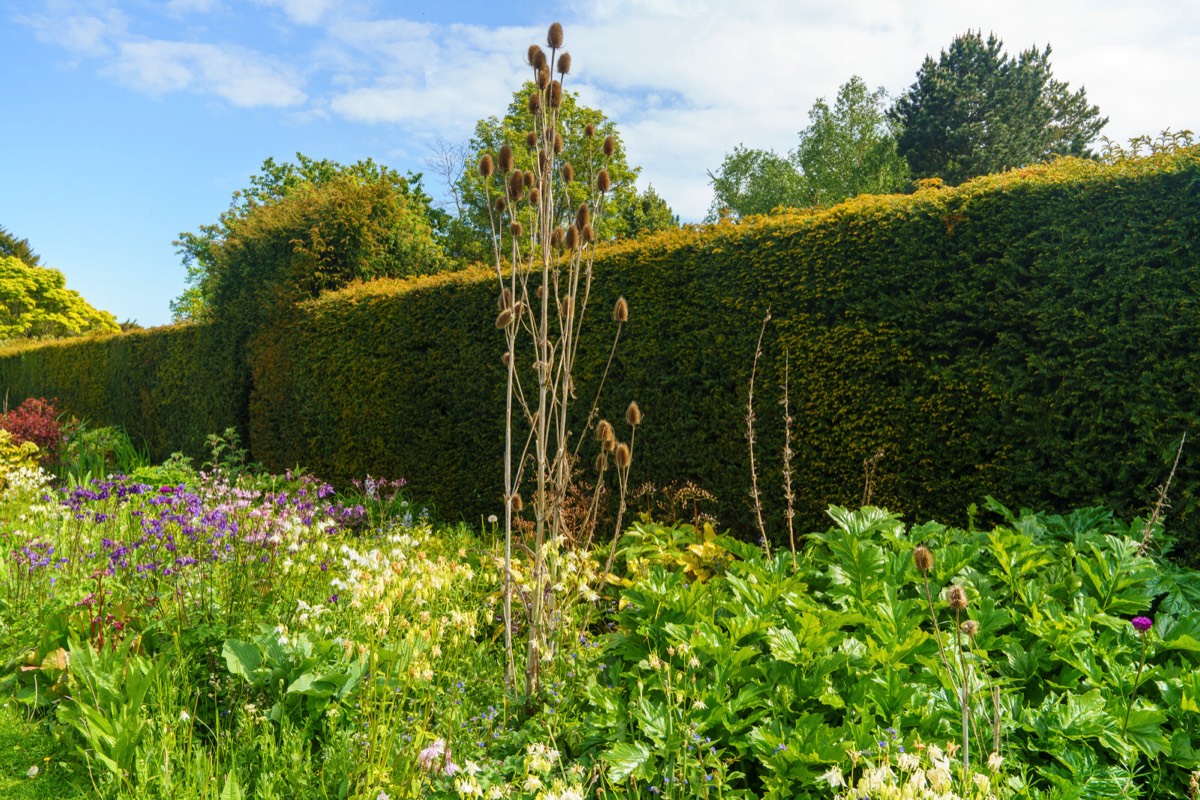 THE WALLED GARDEN AT SAINT ANNE