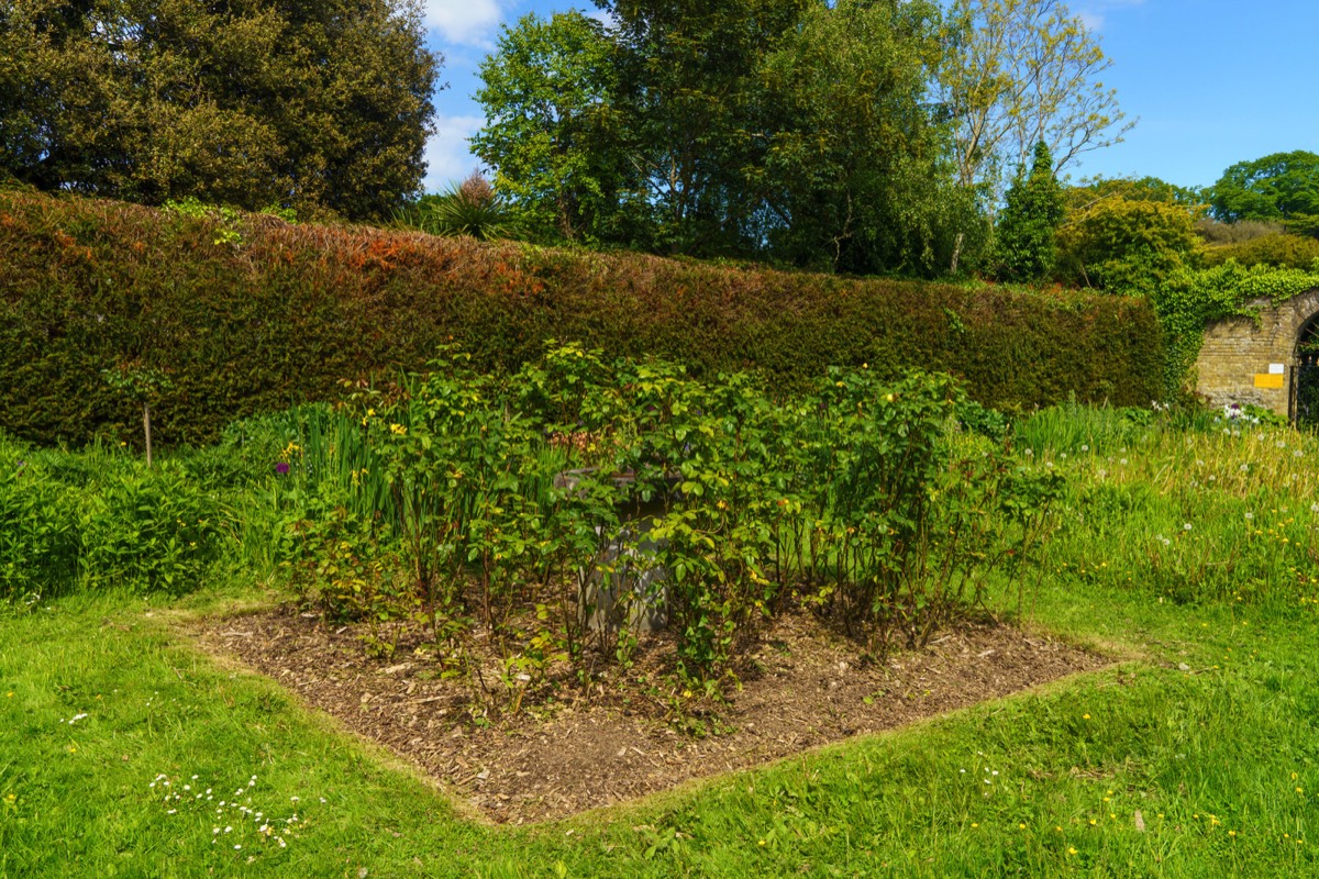 THE WALLED GARDEN AT SAINT ANNE