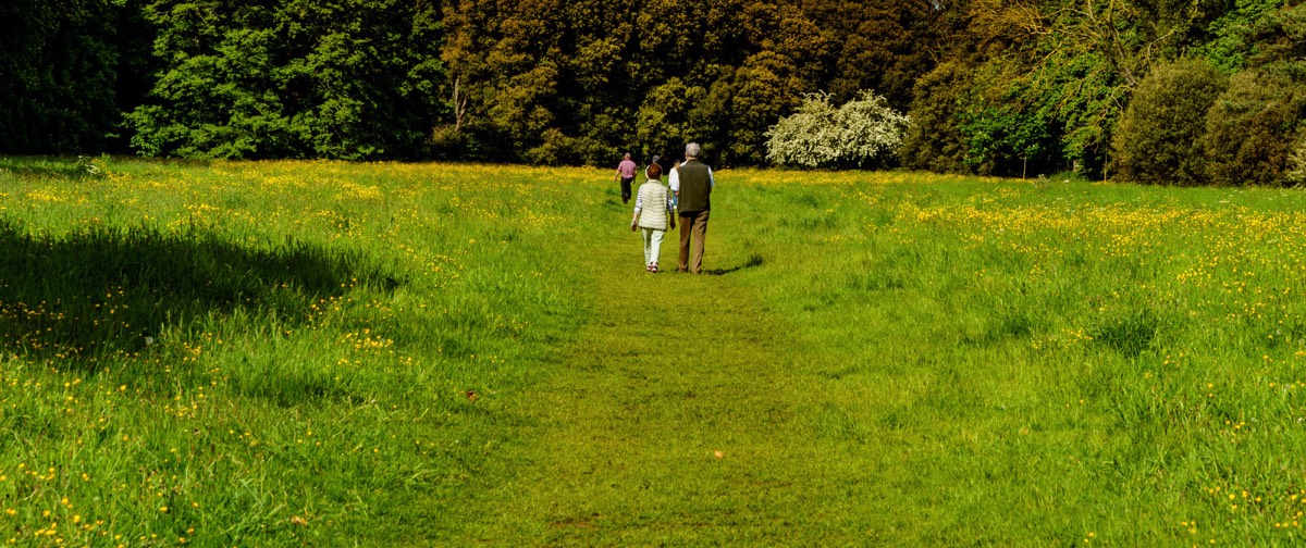 WILD MEADOWS AT SAINT ANNE