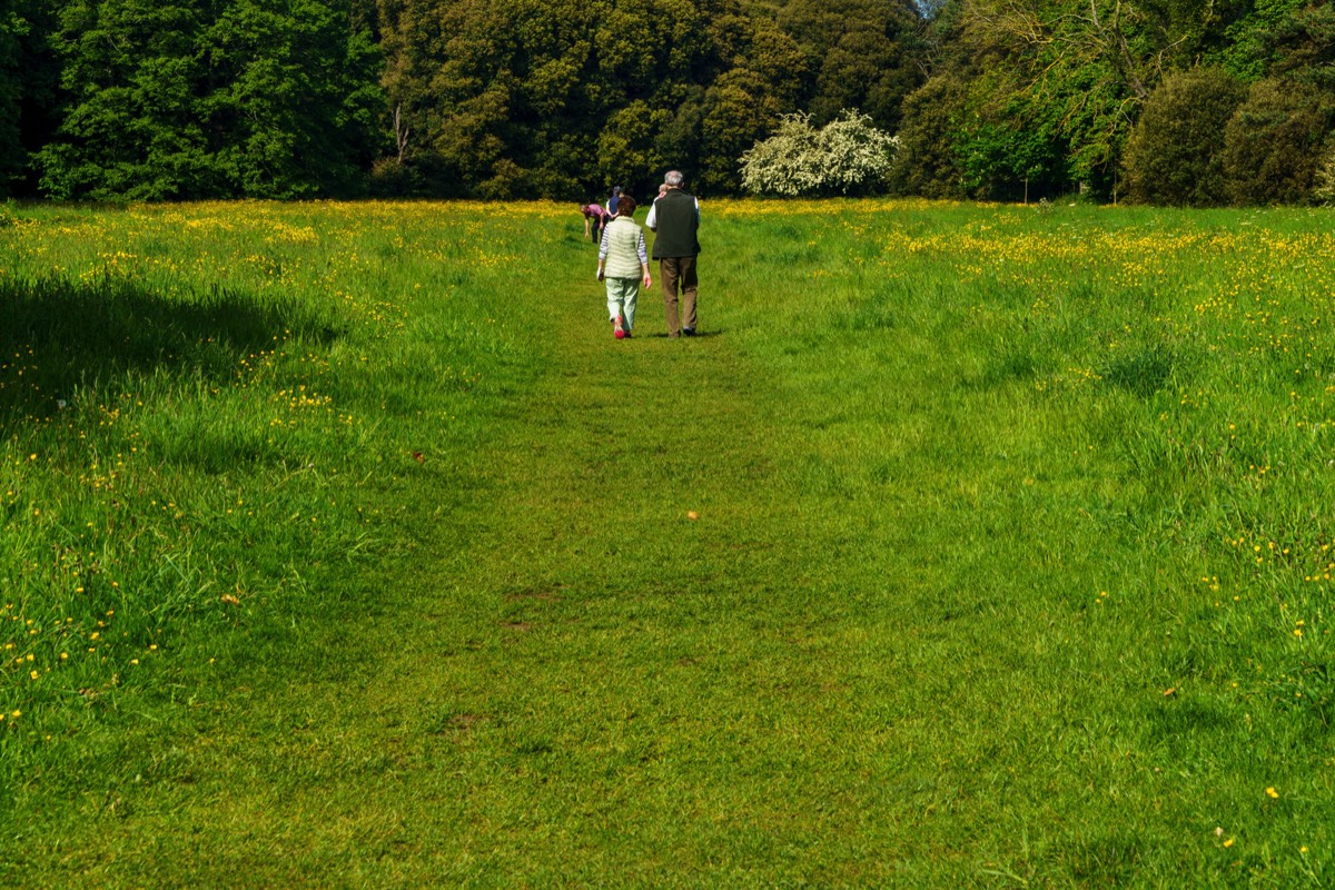 WILD MEADOWS AT SAINT ANNE