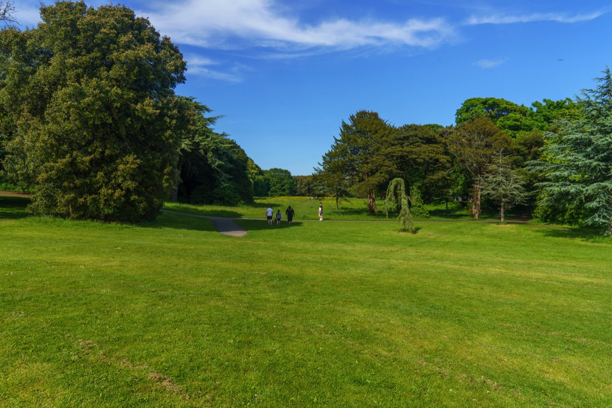 WILD MEADOWS AT SAINT ANNE