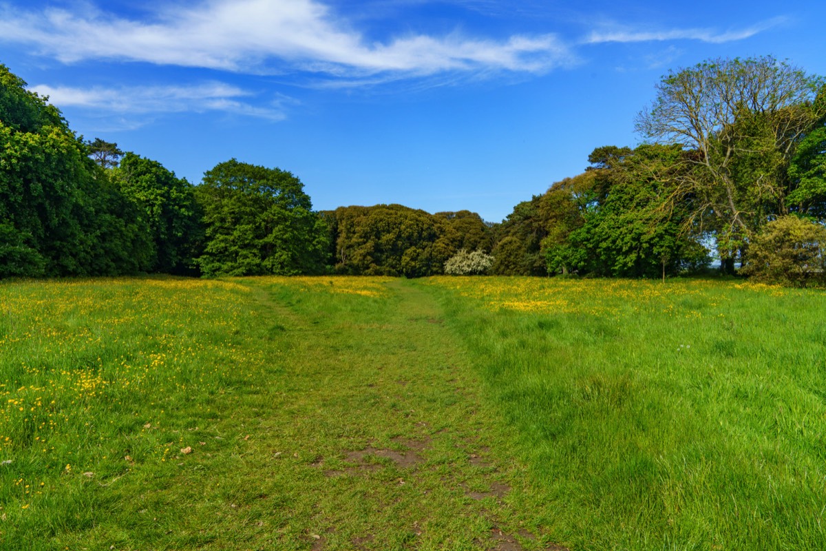 WILD MEADOWS AT SAINT ANNE