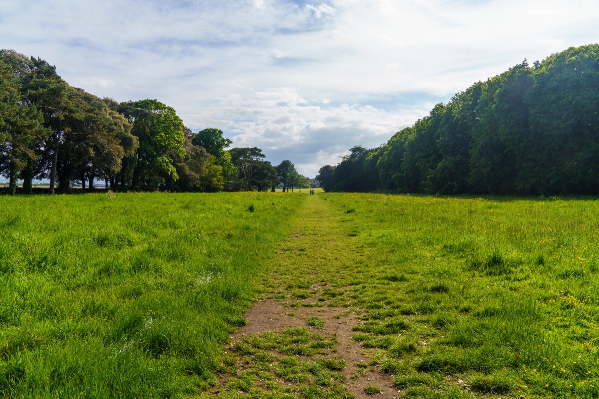 WILD MEADOWS AT SAINT ANNE