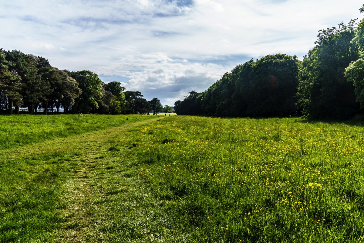 WILD MEADOWS AT SAINT ANNE