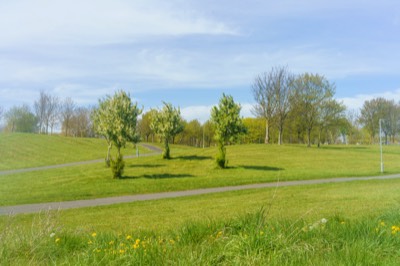  TOLKA VALLEY PARK 