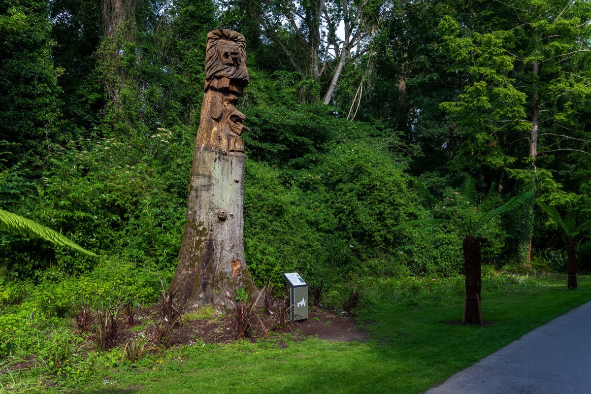 WOOD CARVING REPRESENTING THE TALBOT COAT OF ARMS - AT MALAHIDE CASTLE  001