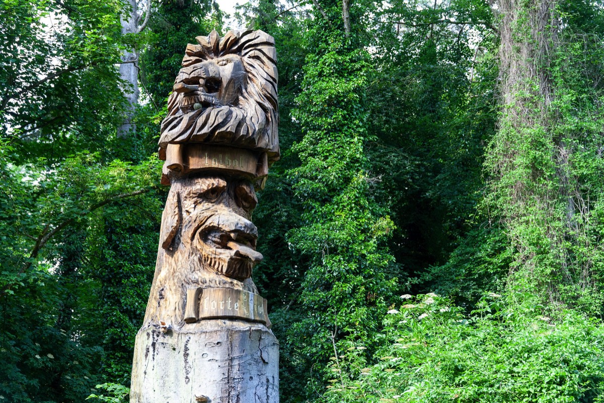 WOOD CARVING REPRESENTING THE TALBOT COAT OF ARMS - AT MALAHIDE CASTLE  004