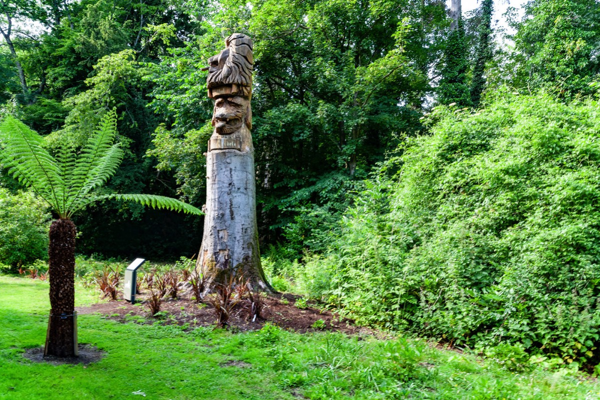 WOOD CARVING REPRESENTING THE TALBOT COAT OF ARMS - AT MALAHIDE CASTLE  005