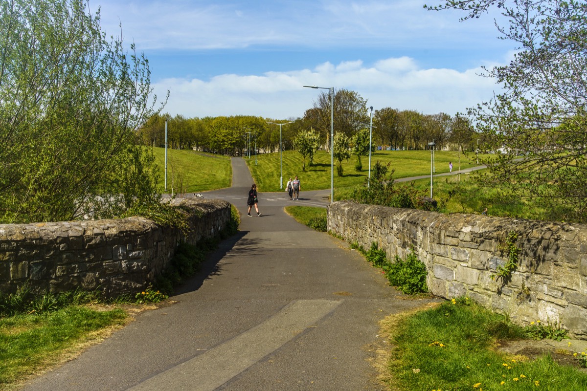 TOLKA VALLEY PARK 005