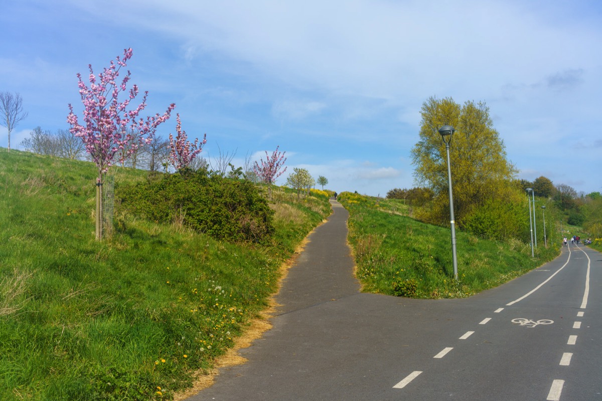 TOLKA VALLEY PARK 017