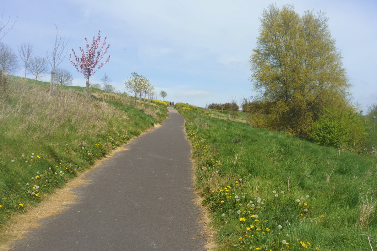 TOLKA VALLEY PARK 019