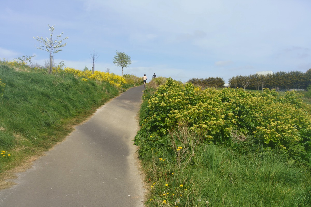 TOLKA VALLEY PARK 020