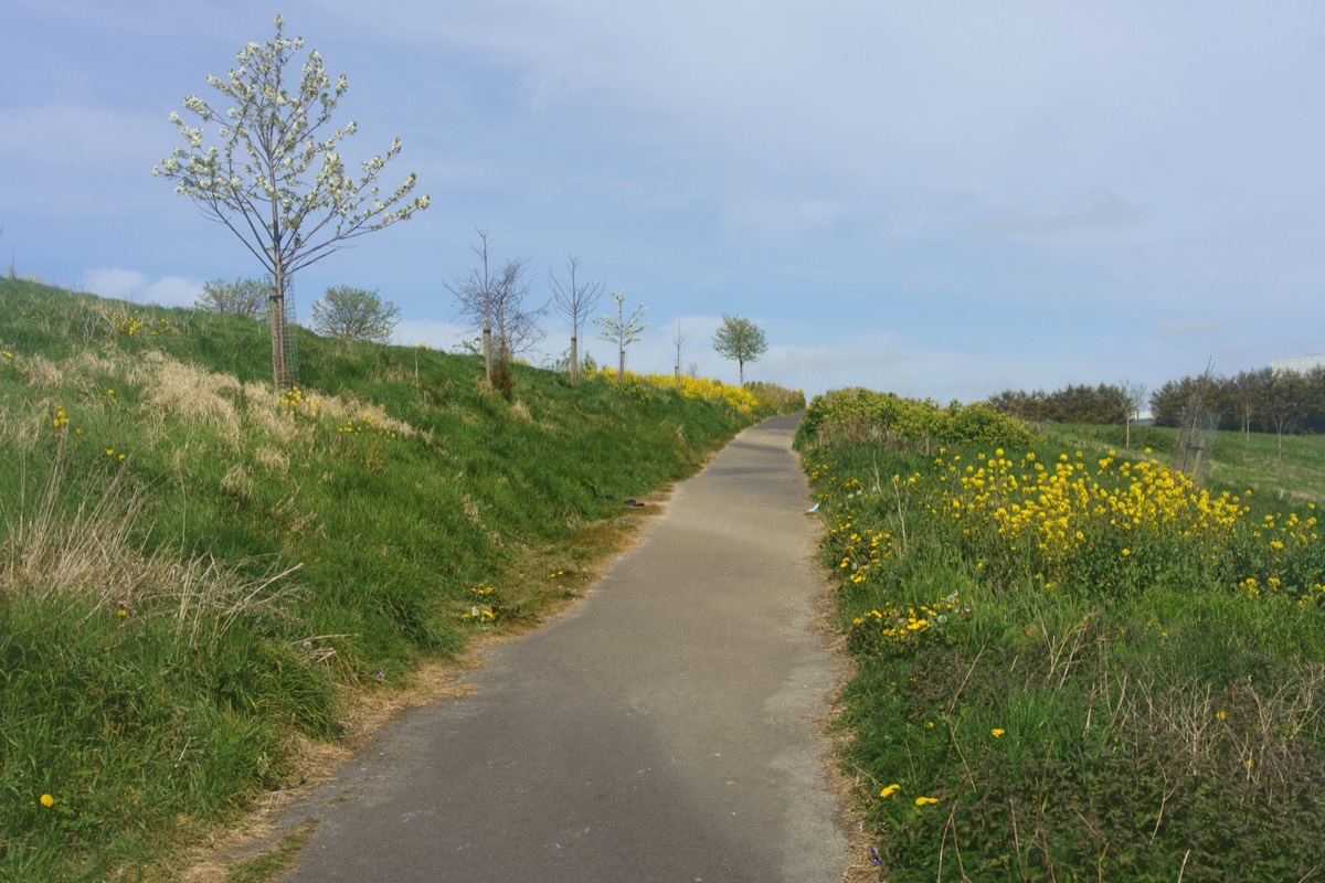 TOLKA VALLEY PARK 021