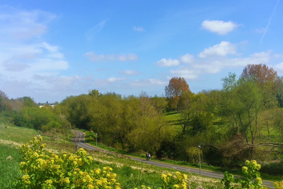 TOLKA VALLEY PARK 028