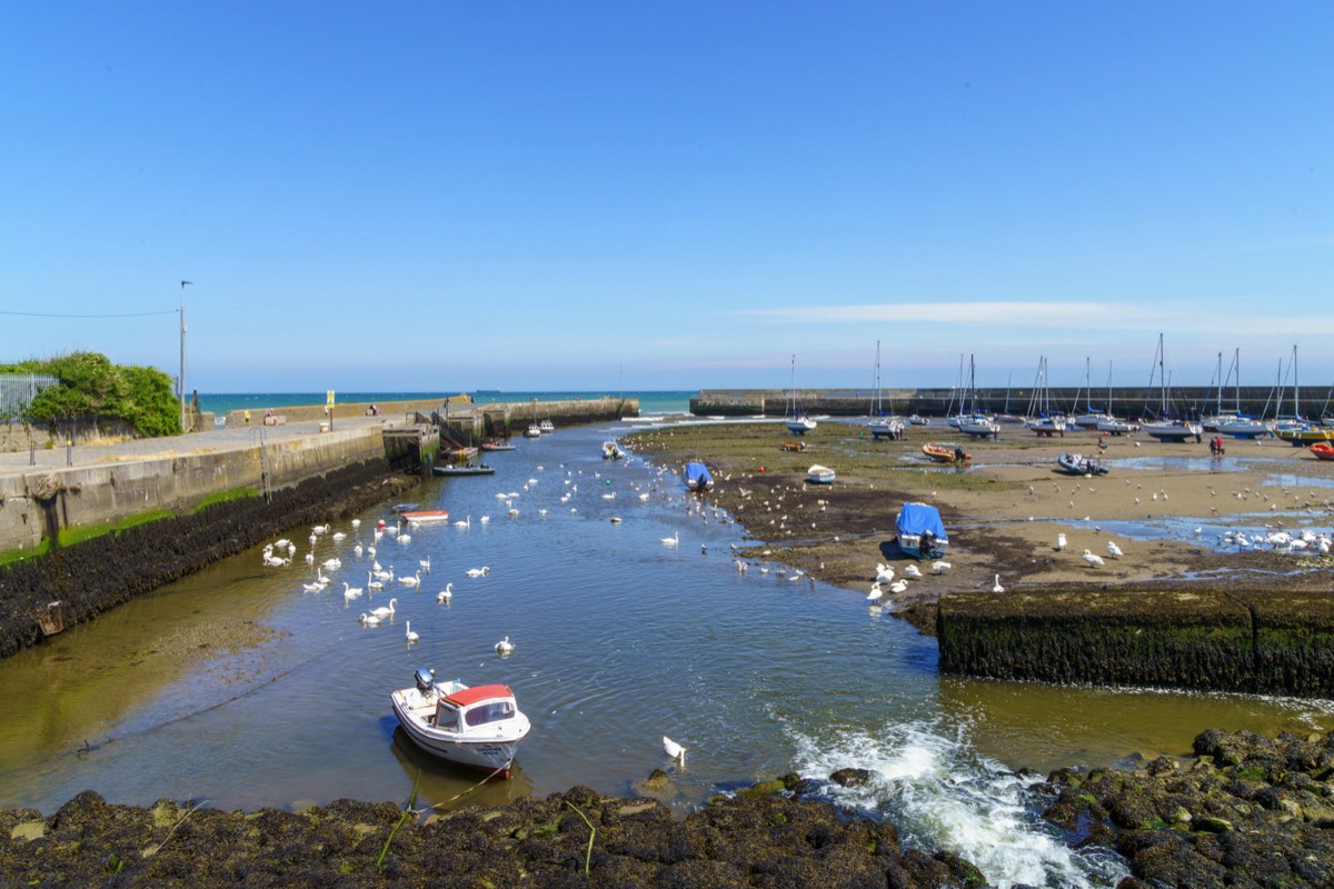 BRAY HARBOUR AND NEARBY 008