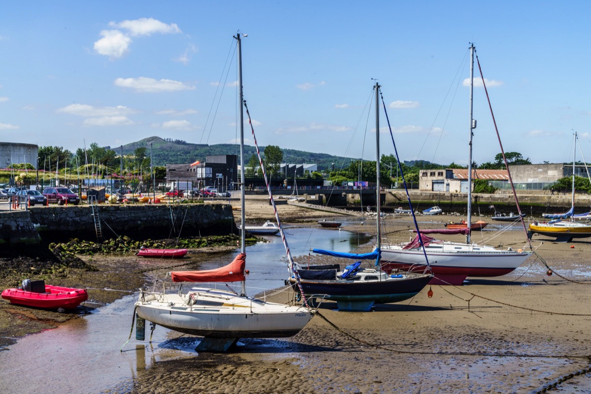 BRAY HARBOUR AND NEARBY 033