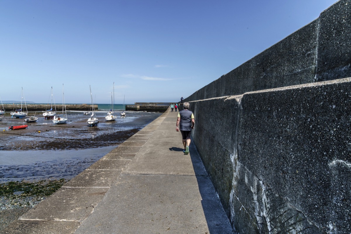 BRAY HARBOUR AND NEARBY 034