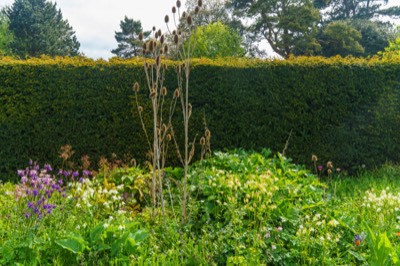  WALLED GARDEN 