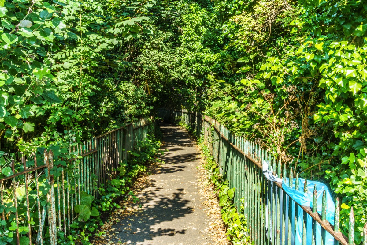 THE RIVER DODDER BETWEEN CLONSKEAGH AND DONNYBROOK 001