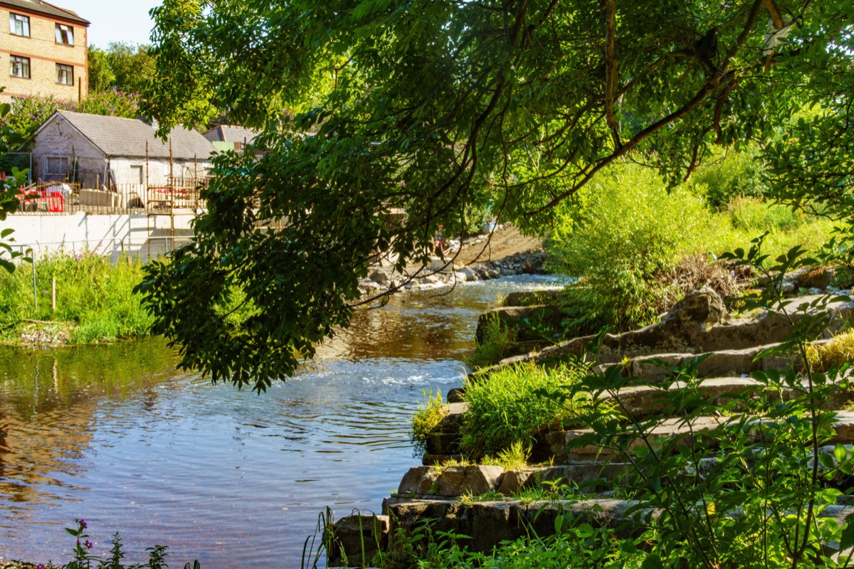 THE RIVER DODDER BETWEEN CLONSKEAGH AND DONNYBROOK 005