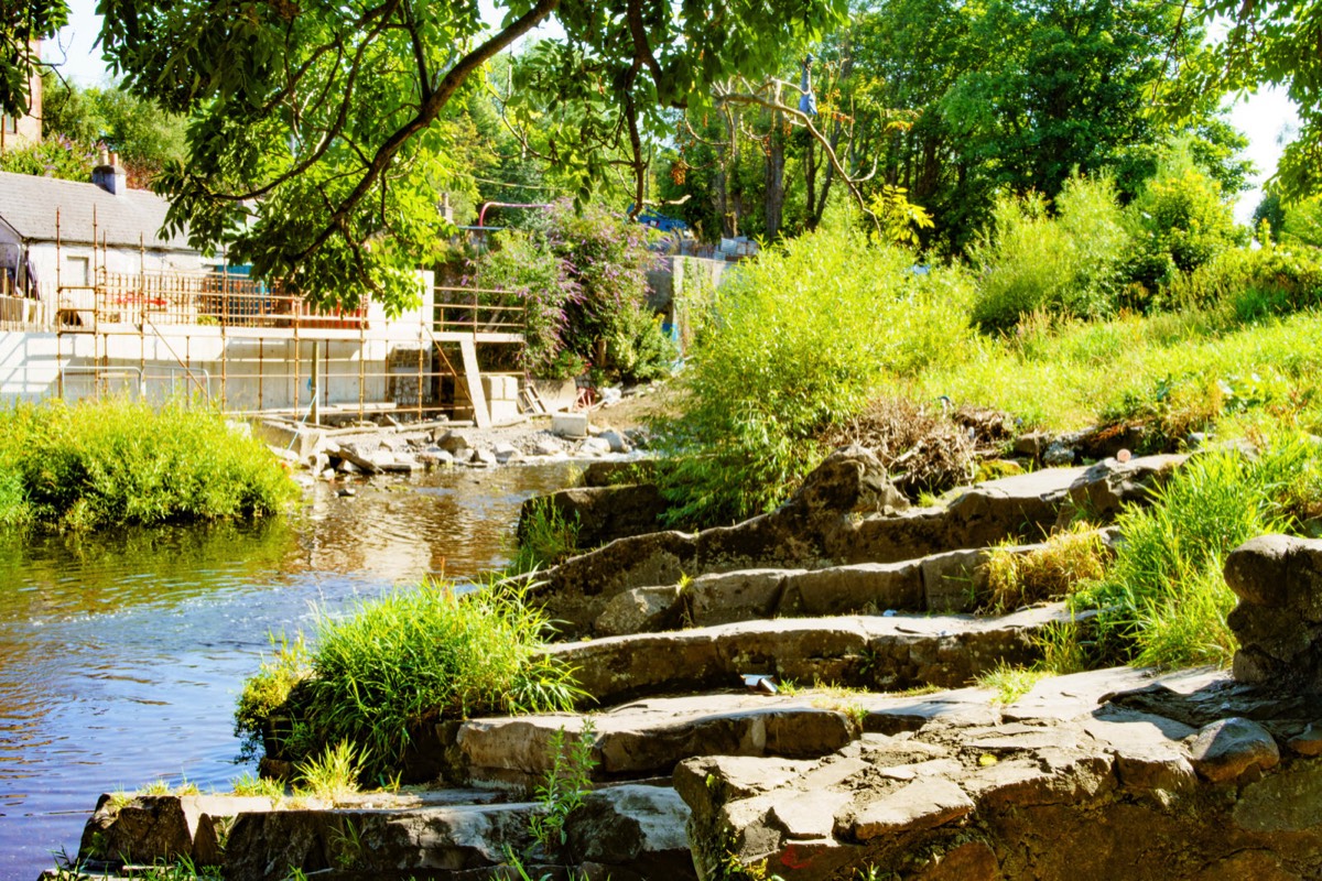 THE RIVER DODDER BETWEEN CLONSKEAGH AND DONNYBROOK 007