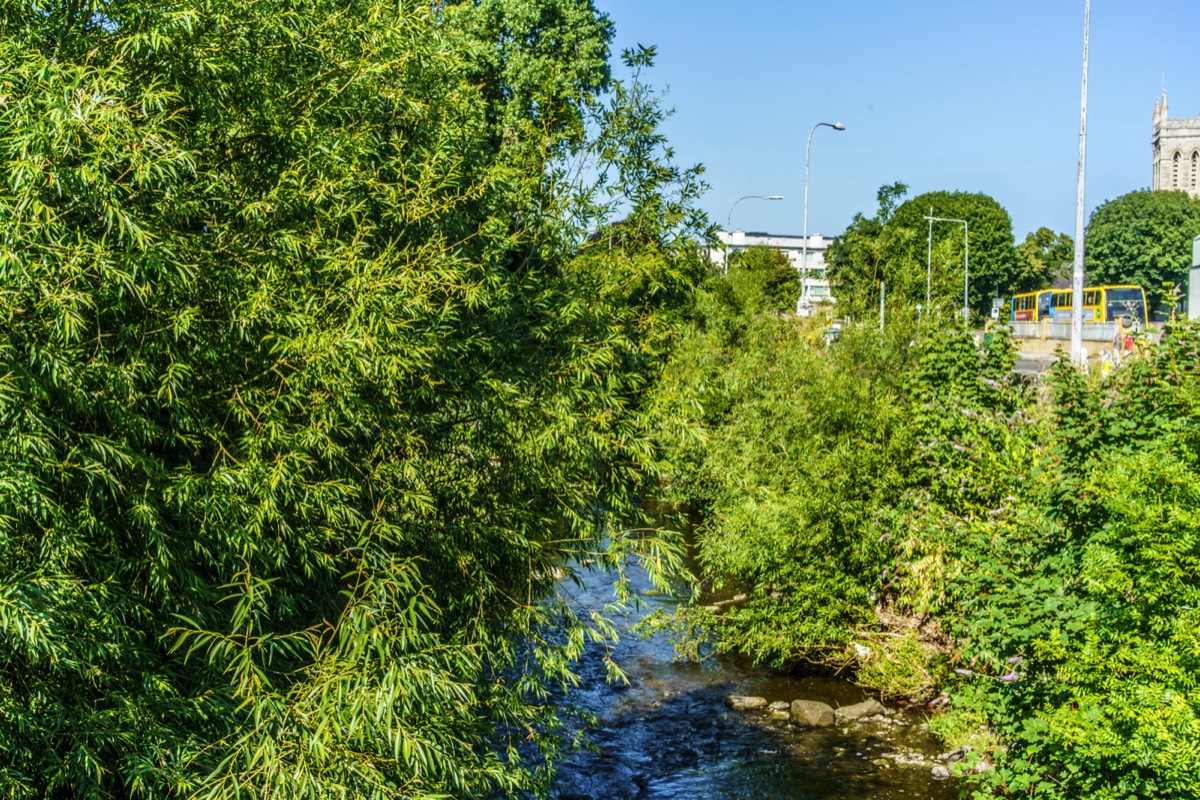 THE RIVER DODDER BETWEEN CLONSKEAGH AND DONNYBROOK 012