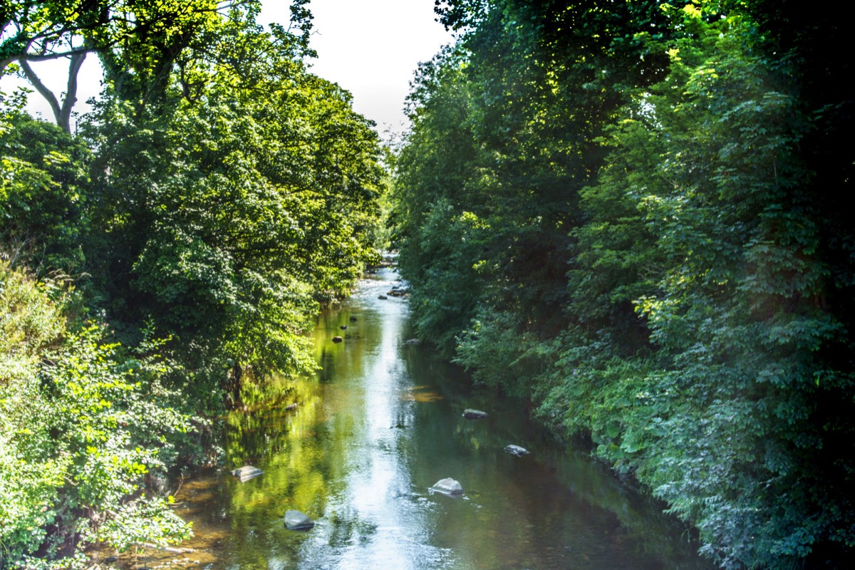 THE RIVER DODDER BETWEEN CLONSKEAGH AND DONNYBROOK 013