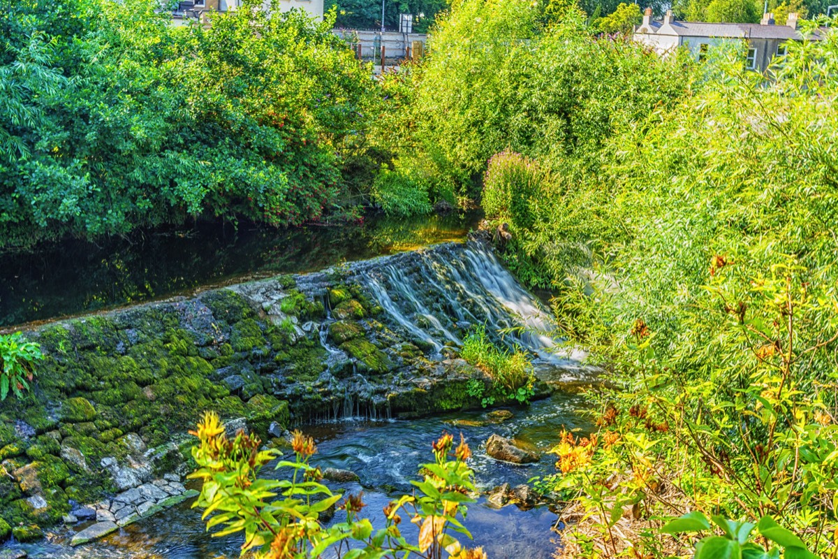 THE RIVER DODDER BETWEEN CLONSKEAGH AND DONNYBROOK 014