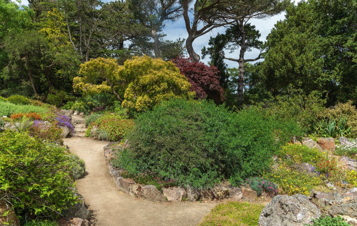 THE ROCKERY AT THE BOTANIC GARDENS