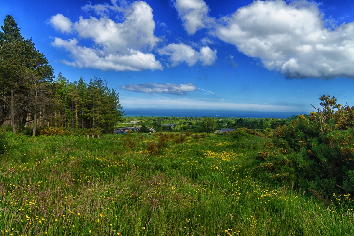 TICKNICK PARK - NOT TICKNOCK 