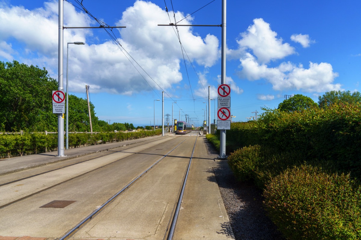 LEHAUNSTOWN LANE - LAUGHANSTOWN TRAM STOP ON THE GREEN LINE  003